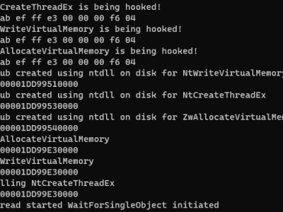 Understanding SysCalls Manipulation